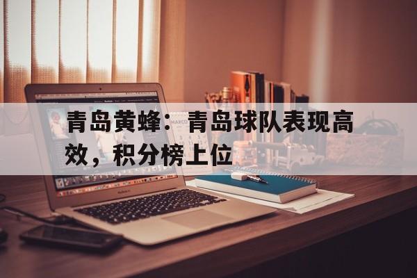 关于青岛黄蜂:青岛球队表现高效,积分榜上位的信息
